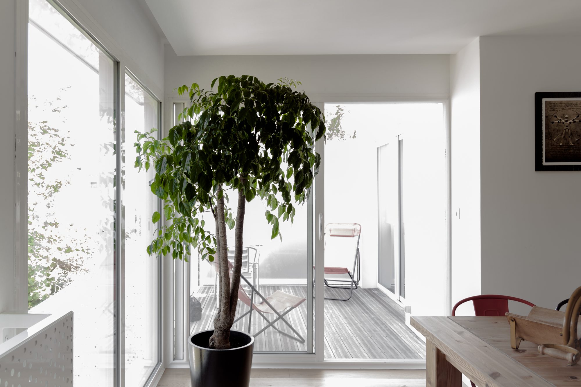 Extension maison — Vue 5
